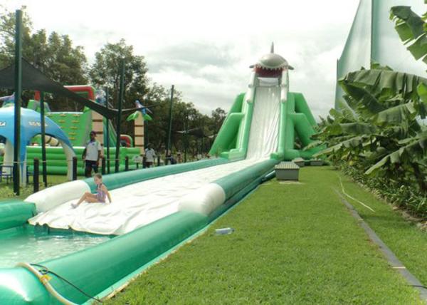 Hippo Giant Inflatable Water Slide For Adult , Comercial Slide Water Slip And