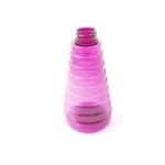 Customizable 500ml PETG Travel Size Foam Pump Bottle