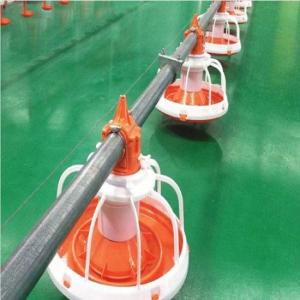 China Automatic Feeding System For Poultry Chicken Feeding Line 10 Liters Capacity factory