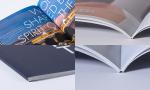 Solid Book Binding Spine Polyurethane Hot Melt Adhesives White 20kg
