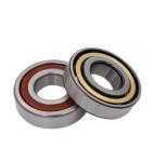 Z1 Z2 Single Row Angular Contact Ball Bearing High Speed 8cm For Electric Motor