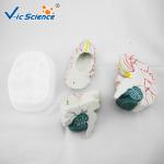 Advance Medical Human Brain Anatomy 3d Model For Teaching VIC-304A