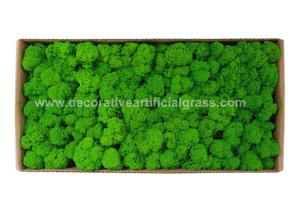 China Environmental-Friendly Silk PE Faux Fake Moss Wall Art Panels 450g/Set factory