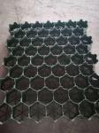 Geocells and Honeycomb HDPE Grass Grid for Paver The Perfect Park Combination