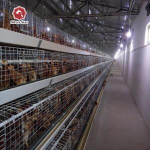 China Baby Chicks Cage Include Drinking System factory