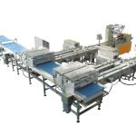 30 To 300 bag/Min Multi-functional Packaging Machine Food Packing
