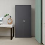OEM Office Metal Filing Cabinet Metal 2 Door Cupboard Environmentally