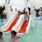 Water Park Equipment Small Swan Kids Water Slide, Fiberglass Water Pool Slides