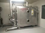(Energy Saving, Fast Drying Speed, Low Investment) Vacuum Tray Dryer for