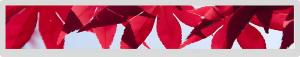 China 700nits Bar Type LCD Display 36.6&quot; Tft 1920x290 IPS Lvds TFT 51 Pins factory