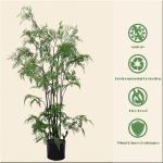 Faux Fern Small Artificial Potted Floor Plants Bonsai 450cm Wind Resistance