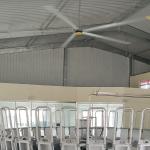 6.1m 20FT Industrial Ceiling Fan With 6Pcs Aluminum Magnesium Alloy Blades And