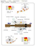 Square Flat Bottles TN-200LDS Single Side Self Adhesive Labeling Machine