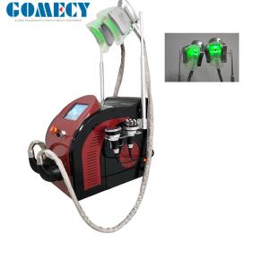 China Lipo Laser Cryolipolysis Slimming Machine With 2 RF Handles factory