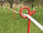 Pigtail Step In Post For Temporary Pasture Fence