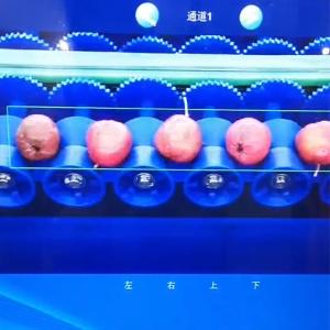 PLC Control Hawthorn Sorting Machine For Automated Applications And Reliable