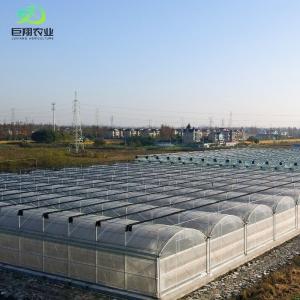 Hydroponic Cultivation Greenhouse Covered with Plastic Sheet and Single Span