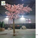 UVG 11ft high pink color artificial cherry blossom trees for weddings CHR157