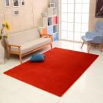 Imitate rabbit hair super sofe Modern Shaggy rug polyester Shaggy carpet cotton