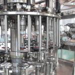 18000BPH 0.5l Pet Bottle Filling Machine juice bottling machine juice filling