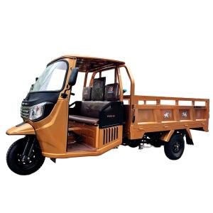 China Citycoco Motorized Scooter 200CC/250CC 3 Wheels Cabin Trike with Rear Spring Leafs 5 2 factory