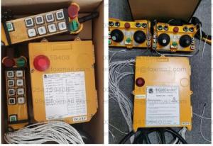 China Hot Telecrane High Grade Industrial Crane Hoist Wireless Remote Control factory