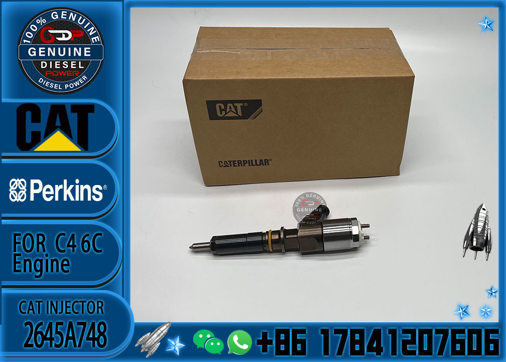Common rail injector fuel injecto 10R-7675 2645A748 2645A743 320-0670 for C4.2 C6.4 Excavator C4.2 C6.4 320D