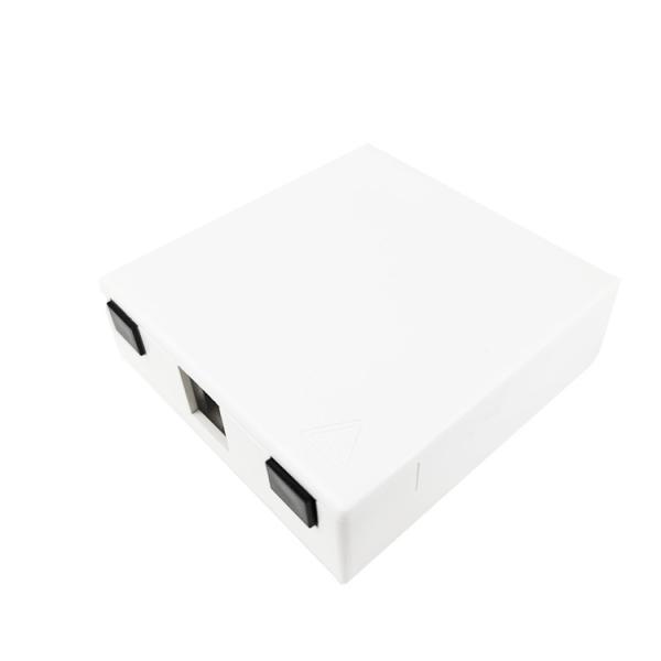 2 Cores Plastic Fiber Optic Faceplate Socket Panel Network for FTTH Indoor