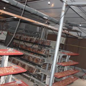 China 4 Tiers Poultry Farm Egg Layer Battery Chicken Cage With Automatic Nipple Drinker factory