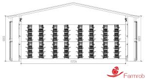 China Off Ground Automatic Egg Collection System Cage-Free-L Big Space No Eggs Outside The Nests factory