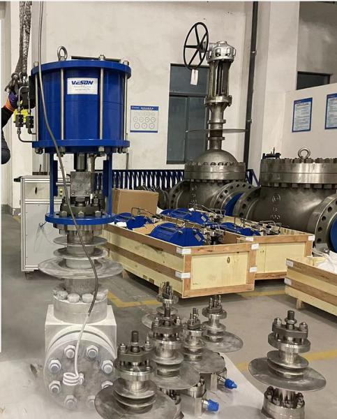 Single Pneumatic Linear Actuator Cryogenic Globe Valve with Linear Pneumatic