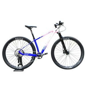 China Carbon Fiber Construction Mountain Bike for Adults 29 Inch Aluminum Alloy Fork factory
