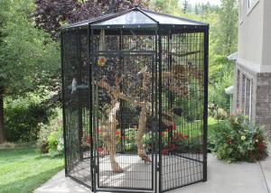 China Five Sided Walk In Bird Aviary (BASIC PACKAGE) factory