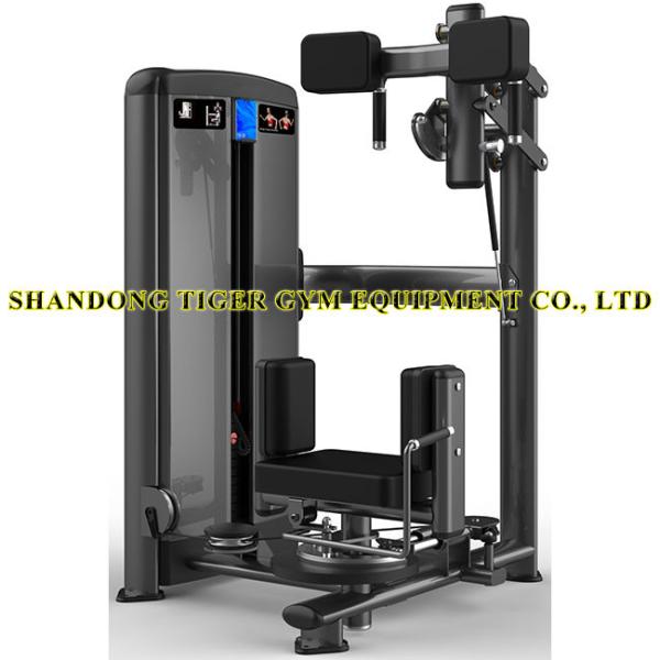 Fitness Equipment Rotary Torso Rotation training machine for exercising psoas /