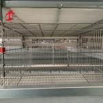 4 Tiers Chicken Cage Full-automatic Equipment Customized Solutions Available