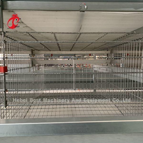 4 Tiers Chicken Cage Full-automatic Equipment Customized Solutions Available