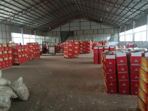 China Red Garlic Normal White Garlic Purple Garlic 6.0cm in Carton or Mesh bags factory
