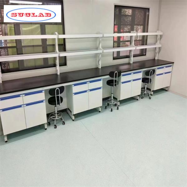 Versatile Chemistry Experimentation Desk 80 Kg Load Capacity and Customizable