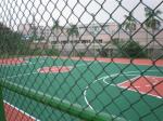 Football Field 2mm Plastic Coated Chain Mesh Fencing 5x5cm