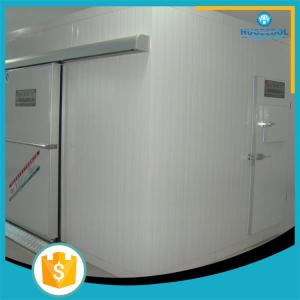 China Cold storage room for food blast freezed factory