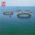 Black 60m Fish Farming Cage , Floating Net Cage Non Toxic Circular Shape