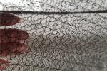 Titanium mesh demister