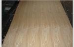 Crown Cut Ash Wood Veneer