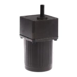China IP54 Single Phase AC Induction Motor B/E/F Insulation Class For Tea Machine Conveyor Motor factory