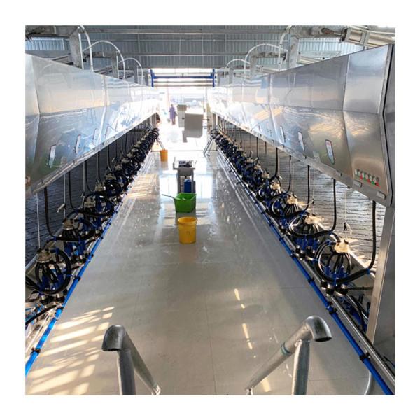 24-100 Point Electronic Metrological Milking Parlour Automatic Cow Machine