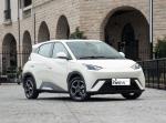 Good Price Competitive Automobile Factory 2WD BYD EV Car Seagull 4Seater Pure