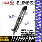 high quality common rail injector 0445120461 1000035955 for WEICHAI POWER diesel