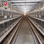 Q235 Steel Mire Battery Layer Chicken Cage Breeding Hens Cage