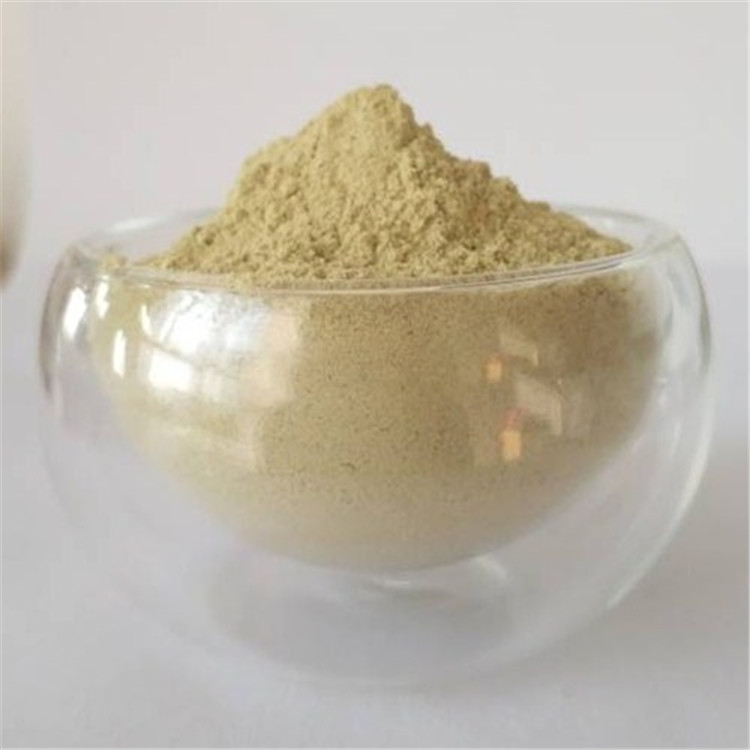 Immune Anti-fatigue 8% Apple Cider Vinegar Powder