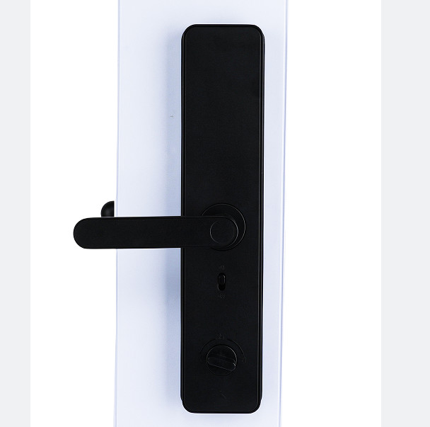 Chinese Smart Door Lock Electric With Touch Screen 2 Years Warranty